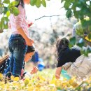 매향농장 이미지