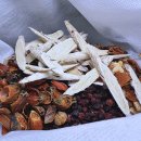 코끝의봄한의원 이미지