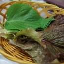마산횟집 - 창원시 마산회원구 석전동16길 10 | 마산횟집
