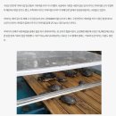거북이동산 이미지