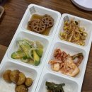 세종 금남대평시장맛집 추천｜세종한식 끝판왕 이모네식당 방문 후기