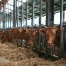 합천축산업협동조합 섬유질사료공장 이미지