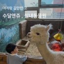 (주)수달앤쥬 | 수달앤쥬 , 수원 아이랑 실내동물원 방문후기