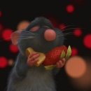 자유민박 이미지