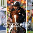 만능스포츠 스포츠서울