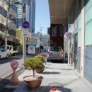 탑여성앤탑성형외과의원 이미지