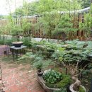 1984나폴리 꽃반지점 이미지