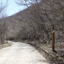 지리산둘레길 7구간 2부 운리임도-운리마을주차장 : 단속사지(斷俗寺址)의 정당매(政堂梅)와 남명(南冥) 조식(曹植)의 평가 이미지