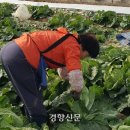 삿대질과아이들 이미지