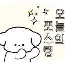 암소한마리정육 이미지