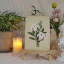 빌리지엠5 이미지