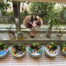 동화동 주민센터 이미지