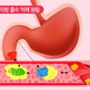 알파CD vs 지방보조제, 다이어트에 뭐가 더 좋을까? 완벽 비교!
