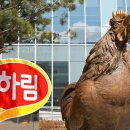 엔에스그룹 이미지