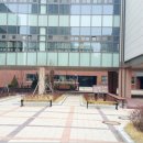 양지중학교 이미지