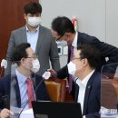 김성원 카카오 검색결과