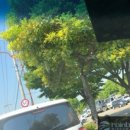 크리스탈 오토샵 이미지