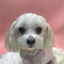 늘봄아로마테라피 이미지