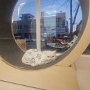 퍼피짱 대도점 이미지