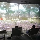 울진군민체육관 이미지