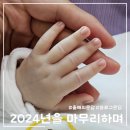 [문답] 2024년을 마무리하며, 한 해 마무리 문답