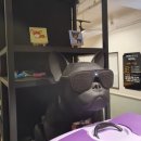 두젠틀(DOGENTLE) 이미지