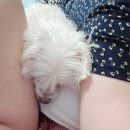 화식원 이미지