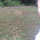 자라농장 이미지