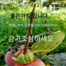 11월 23일 아침인사 이미지