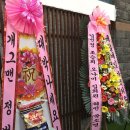 그 놈은 예뻤다 이미지