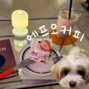 에프오커피 이미지