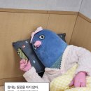 일이삼사 이미지