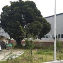 김해 사덕 경남도민신문