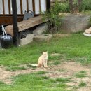해든스테이 | [해든 한옥스테이] 전남 영암, 강진 한옥 독채 추천 (+내돈내산 후기)