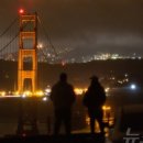 (주)21홀딩스 | 테슬라 주가 상승 이유는