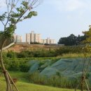 월랑 아파트 이미지