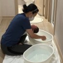 멍멍왈왈 | 대구달성군산후도우미_멍멍왈왈님의 정성스런 이용후기 입니다.