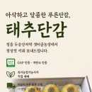 장촌리농기계수리센타 | 정읍농업기술센터 AI교육 후기｜AI로 태추단감 원가와 판매가격을 정해봤습니다