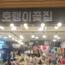 호랭이꽃집 이미지