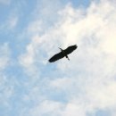 강물소리펜션 이미지