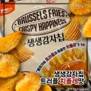 우송대맛집 감튀로 유명한 브뤼셀프라이 포장후기 / 국내 1호 최초 벨기에식 감자튀김맛집