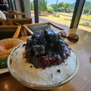 충북보건과학대학교 | 청주 팥빙수와 커피가 맛있는 베이커리카페 청주가든포레스트