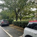 율하시티동물병원 이미지