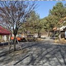 영월가자 펜션&캠핑장 | 강원펜션 자연의 품에서 온전히 쉬어가는 영월가자 펜션과 캠핑장