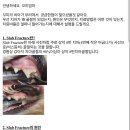 일산제일동물병원 네이버블로그