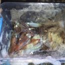 해수피아 이미지