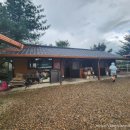 다금식당 이미지