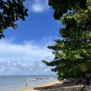 발리 | 발리 여행 지역 추천 - 사누르 해변에서 자전거 타기 및 아이콘발리 후기