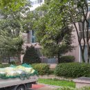 분당-298 이미지