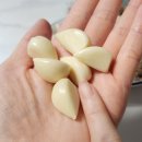 산지 직송 신선과일마당 의성 햇마늘 후기와 깐마늘 보관법